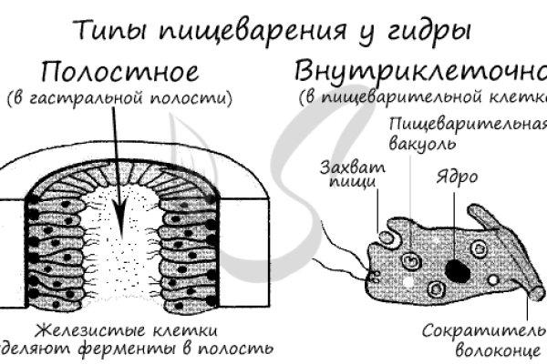 Кракен сайт закладок