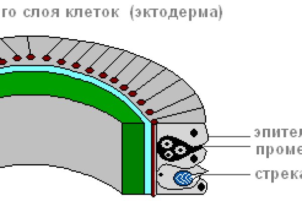 Кракен шоп krakenwebs org