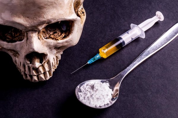 Найдется все кракен