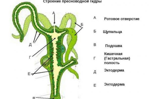 Сайт кракена в торе